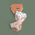 Boy's Underpants Three Packs